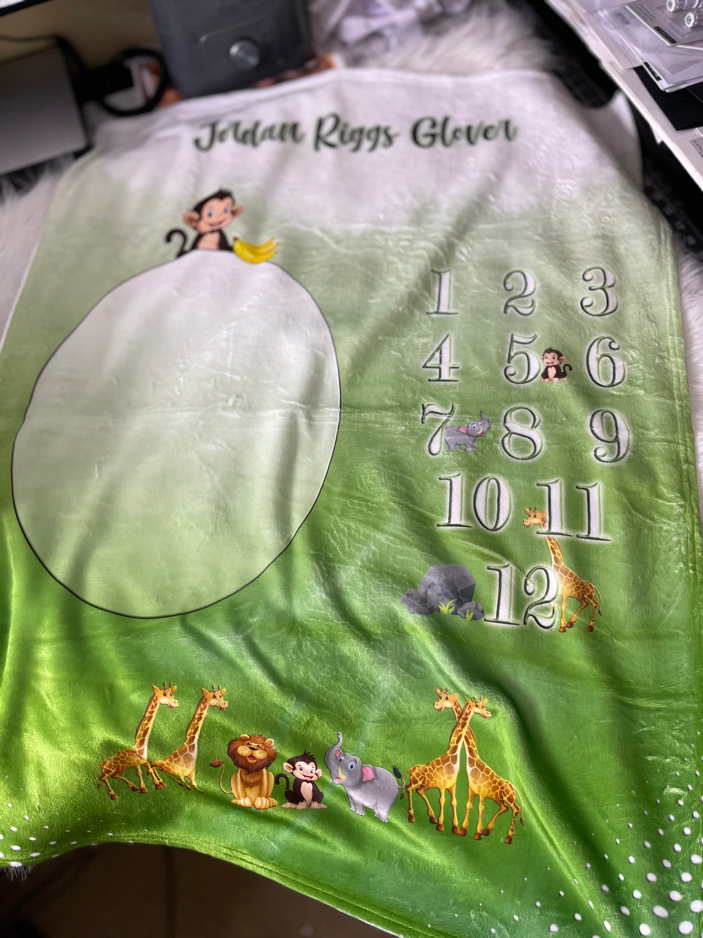 Baby Growth Blanket